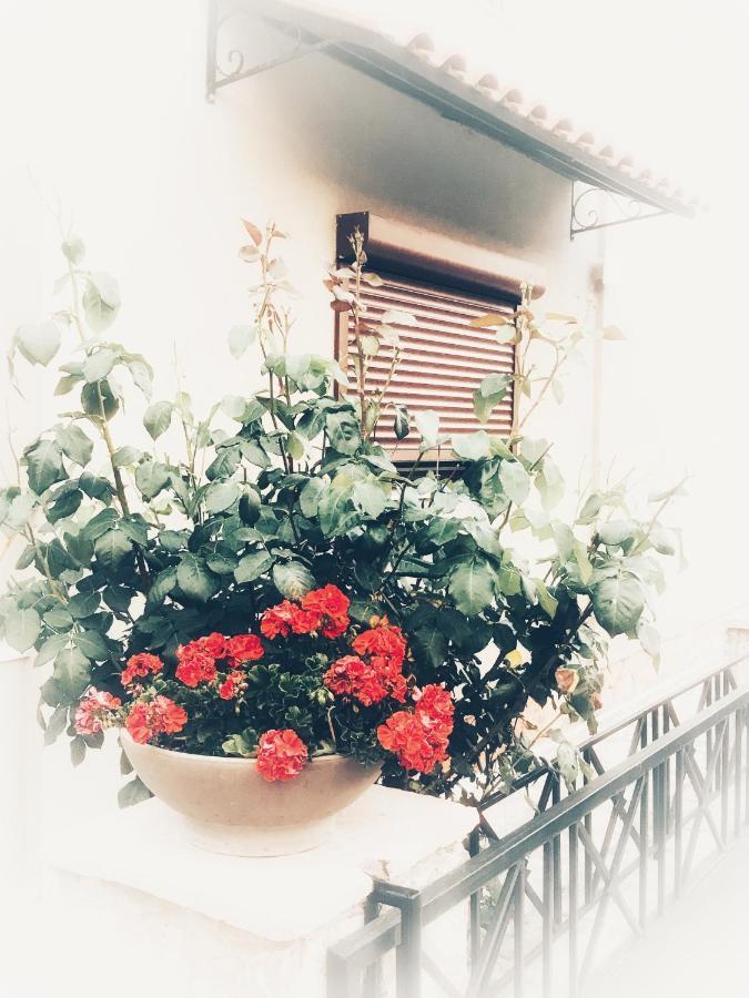 Eva's * Plataria